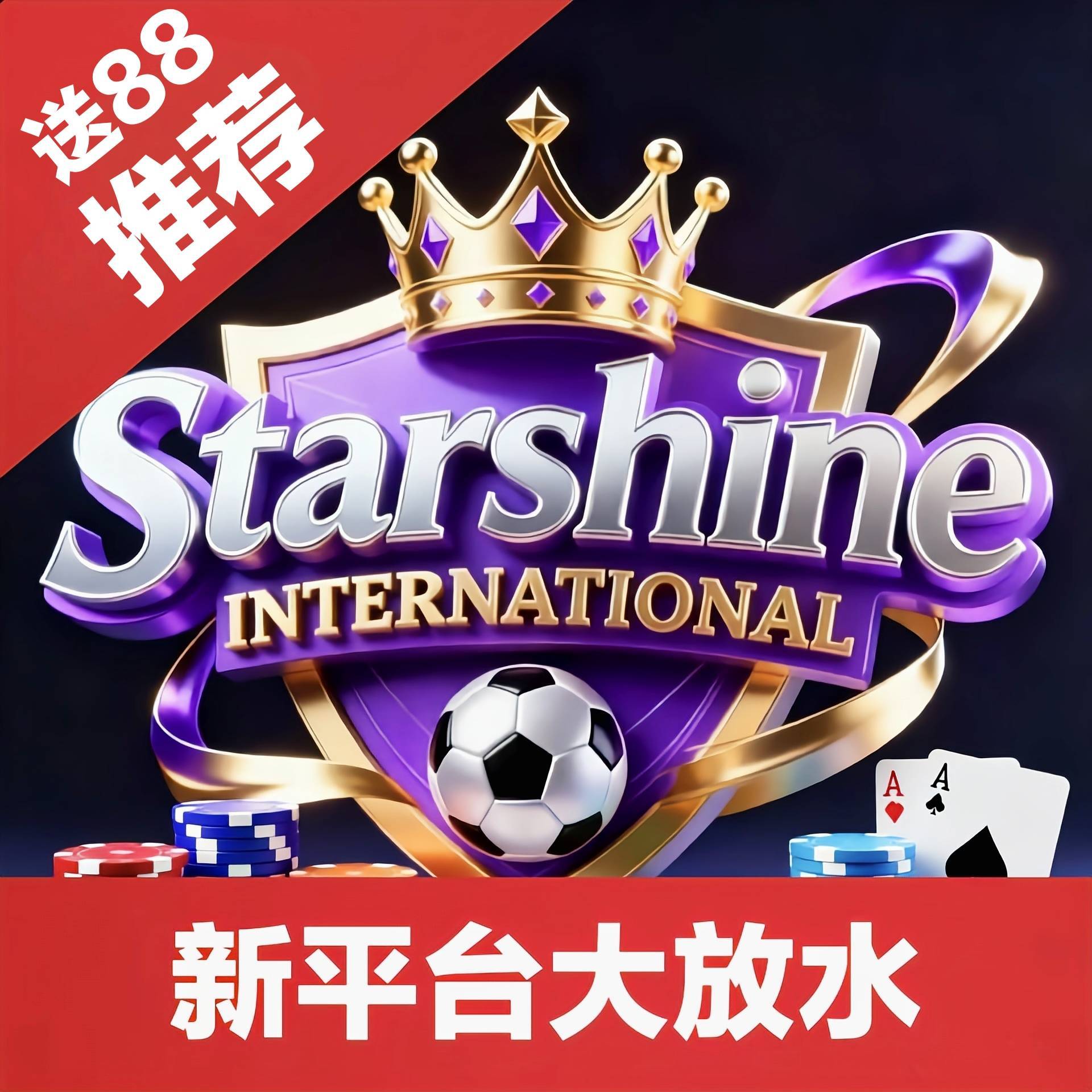 星耀国际
